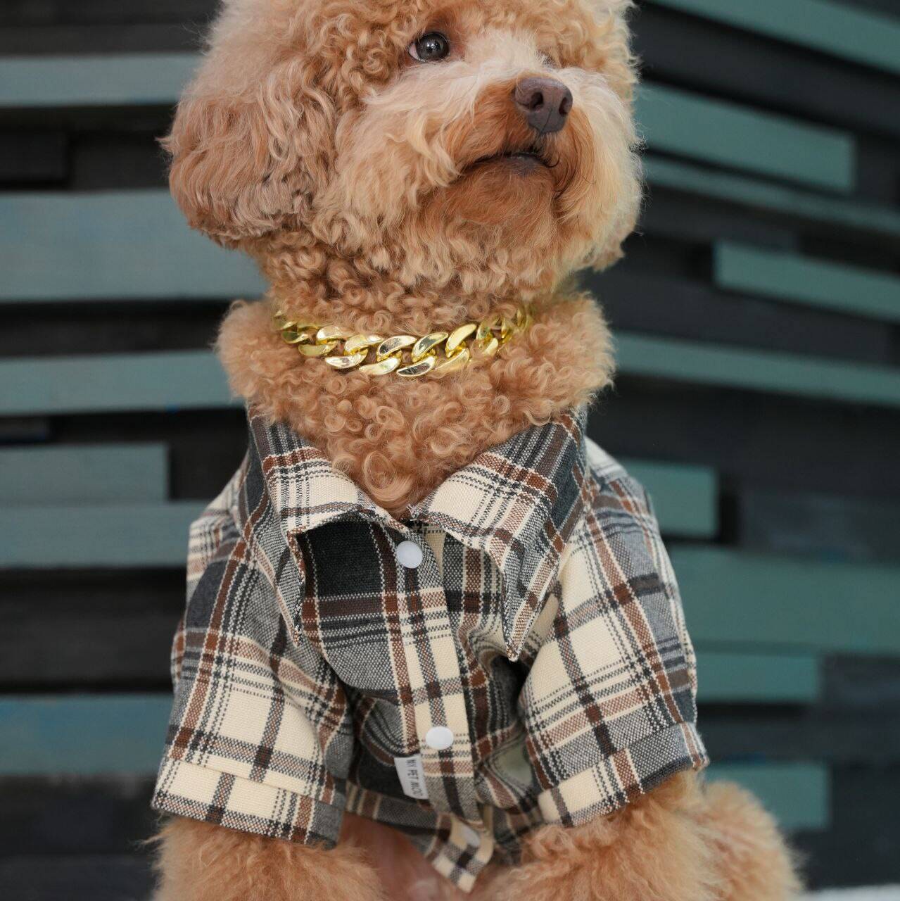 پیراهن کشمیر MP